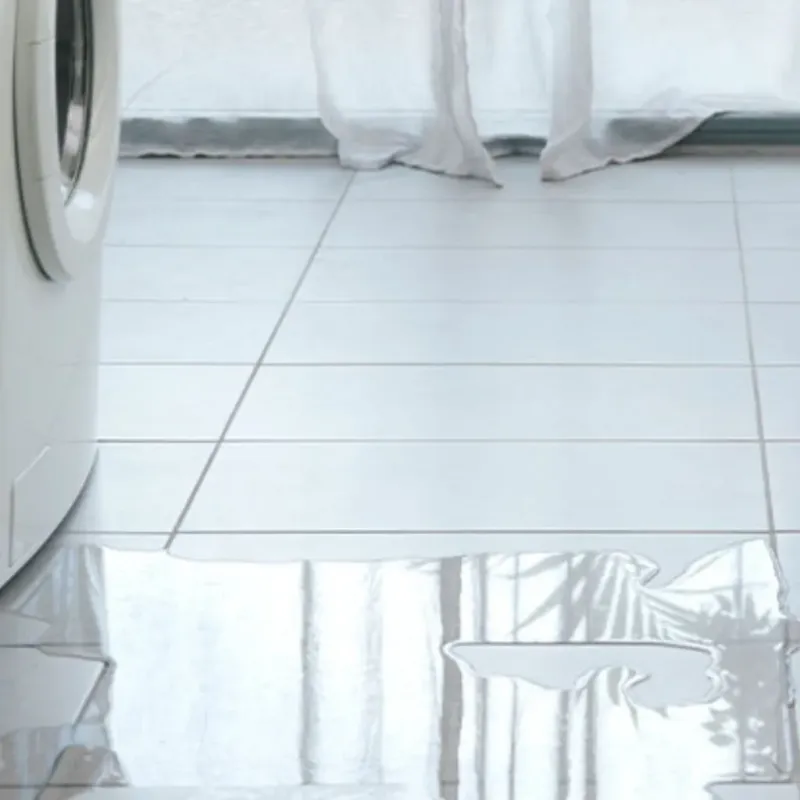 Appliance Leak Cleanup in Corpus Christi, TX